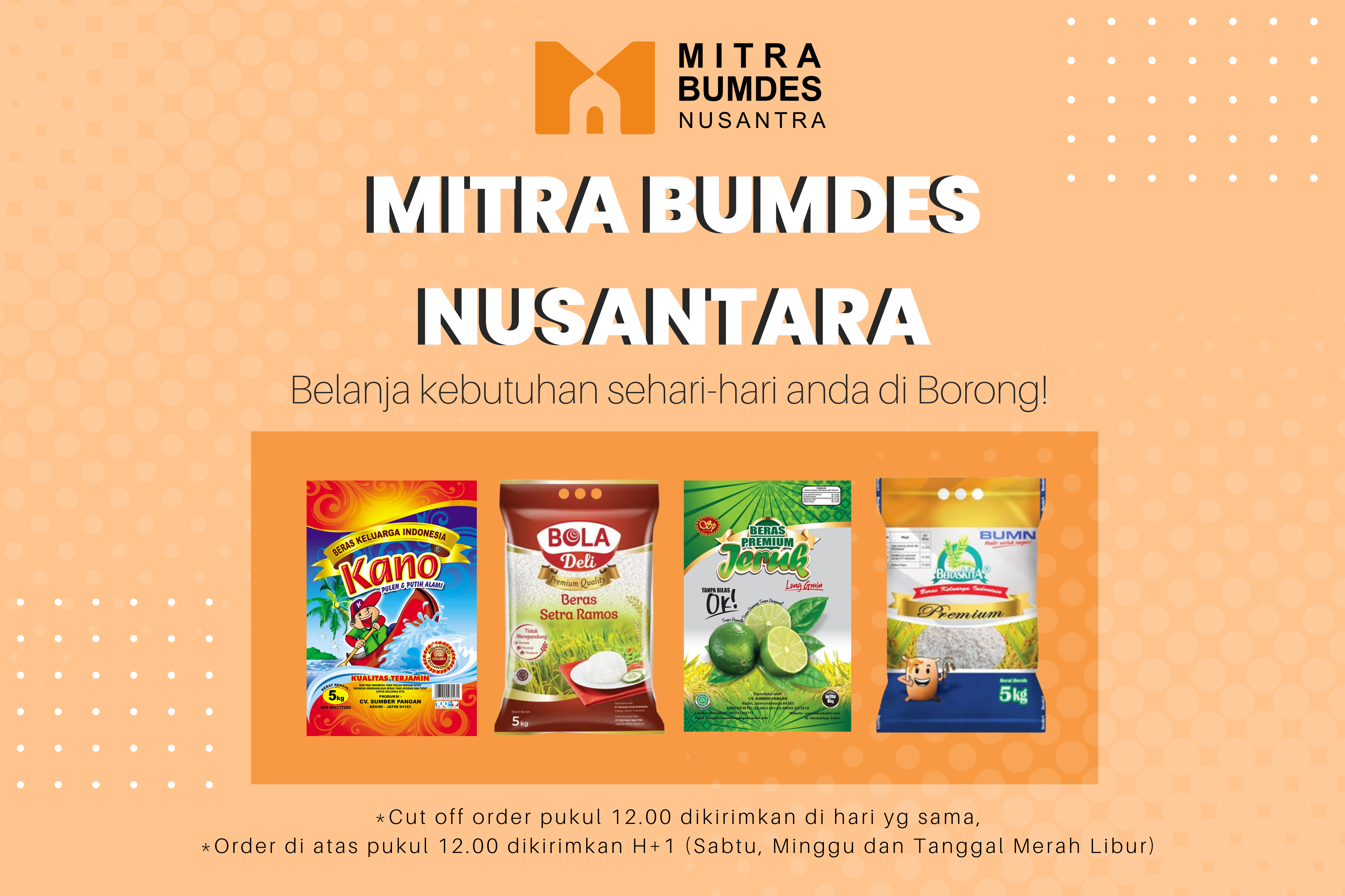 Mitra  BUMDES Nusantara