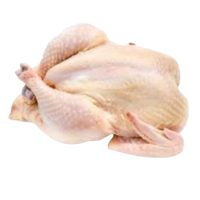 Ayam Karkas Frozen 12 - 13 per Pcs Grade A