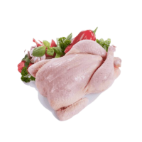 Ayam Karkas Frozen 10 - 11 per Pcs Grade A