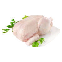 Ayam Karkas Frozen 11 - 12 per Pcs Grade A